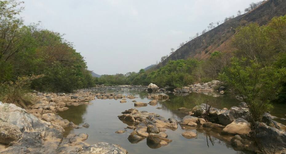 Greenpeace Bheemaswari Homestay, Malavalli 3